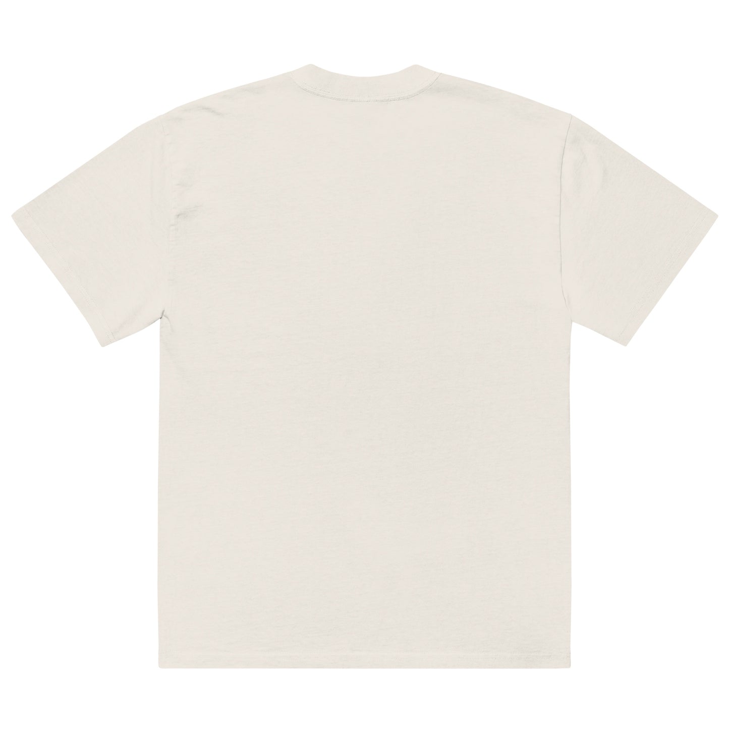 Go Home Roger 2.0 (Oversized Faded Shirt)